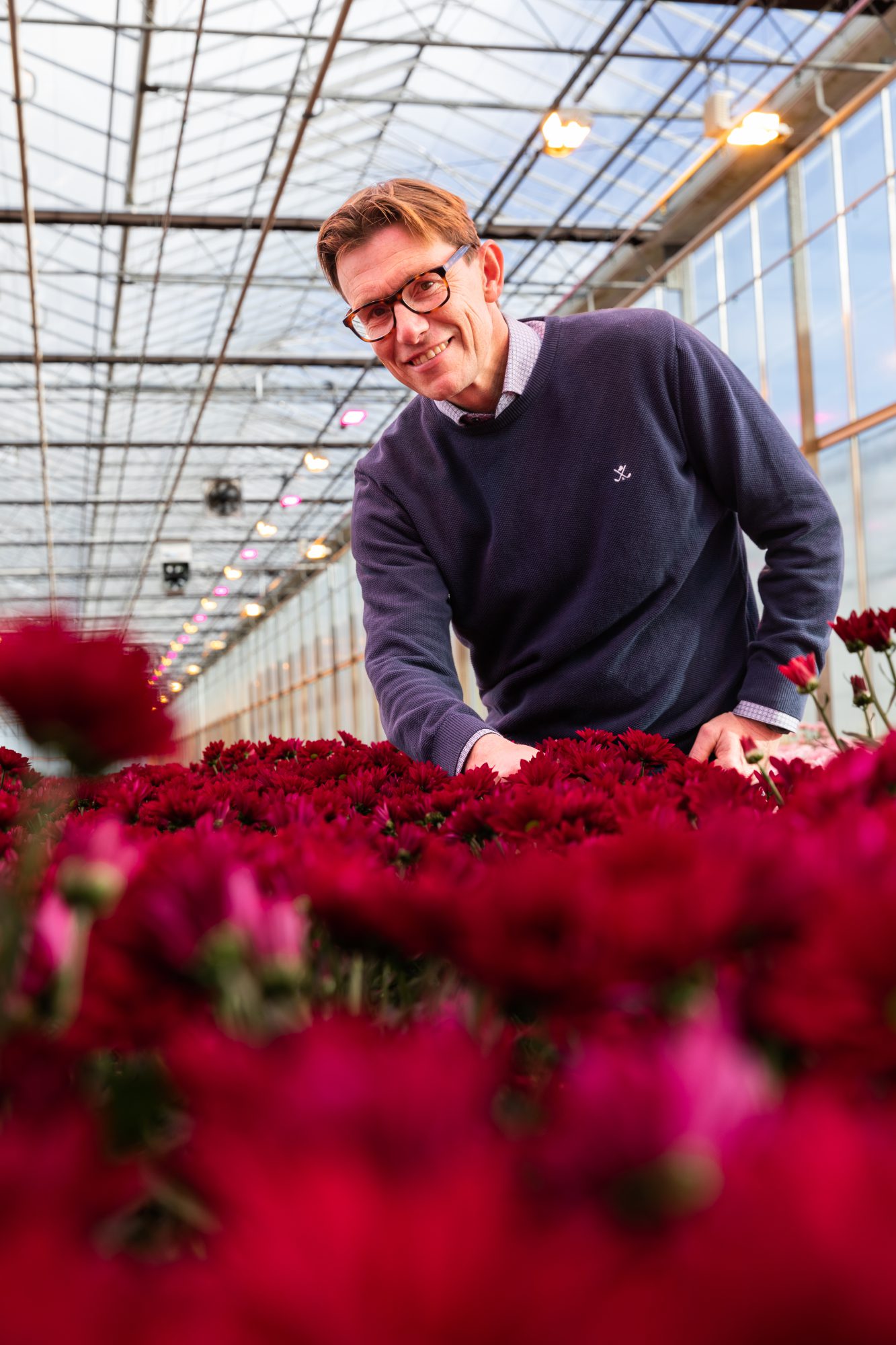 Afbeelding Praktijkgericht onderzoek helpt bij systeemaanpak