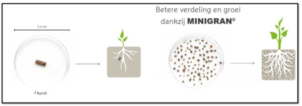 Afbeelding Een weerbare bodem met VIVIBLOOM!