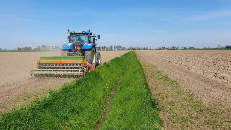 Afbeelding Inzaaien van bufferstroken
