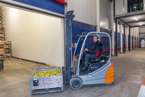 Afbeelding Ondernemende fruitteler, die klaar is voor de toekomst