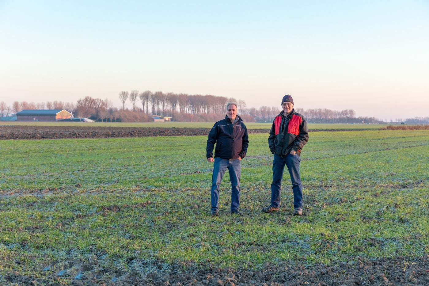 Afbeelding Uien zo groot als suikerbieten!