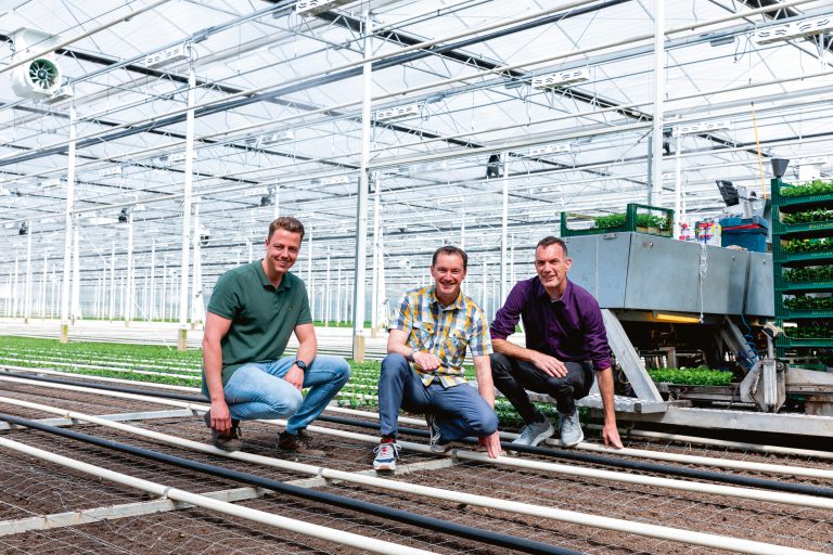 Afbeelding Interpretatie van data bodemvitaliteit is een uitdaging