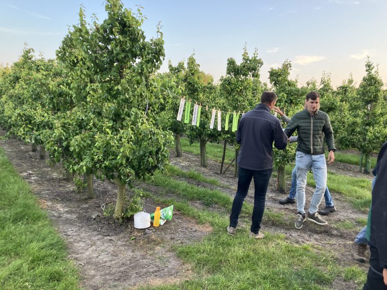 Afbeelding Terugblik fruitteeltavond bij Gebr. Weststrate