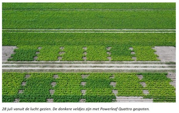 Afbeelding Bijbemesting en inzet van bladmeststoffen