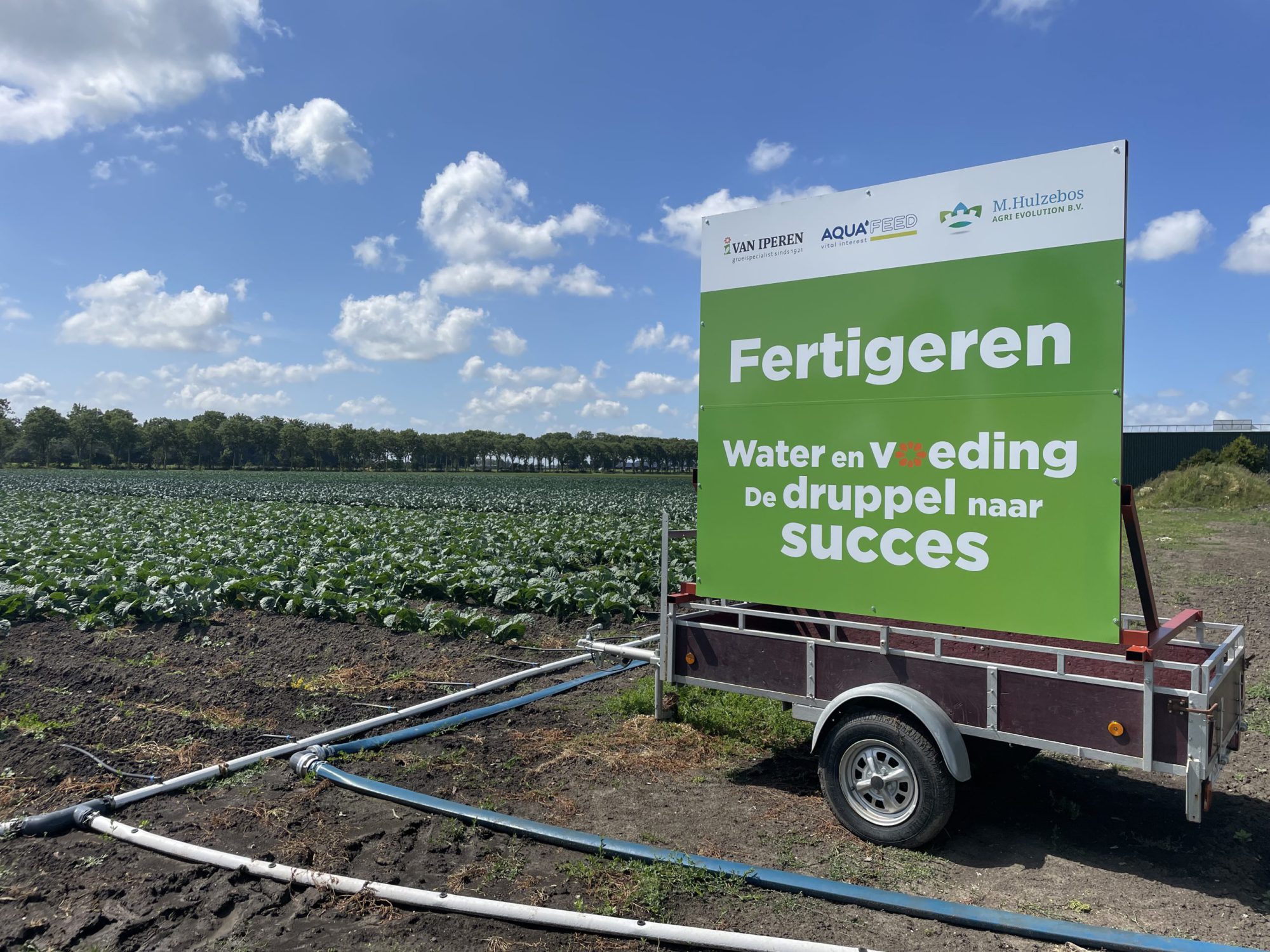 Afbeelding Fertigatiebijeenkomst in kool, Wervershoof