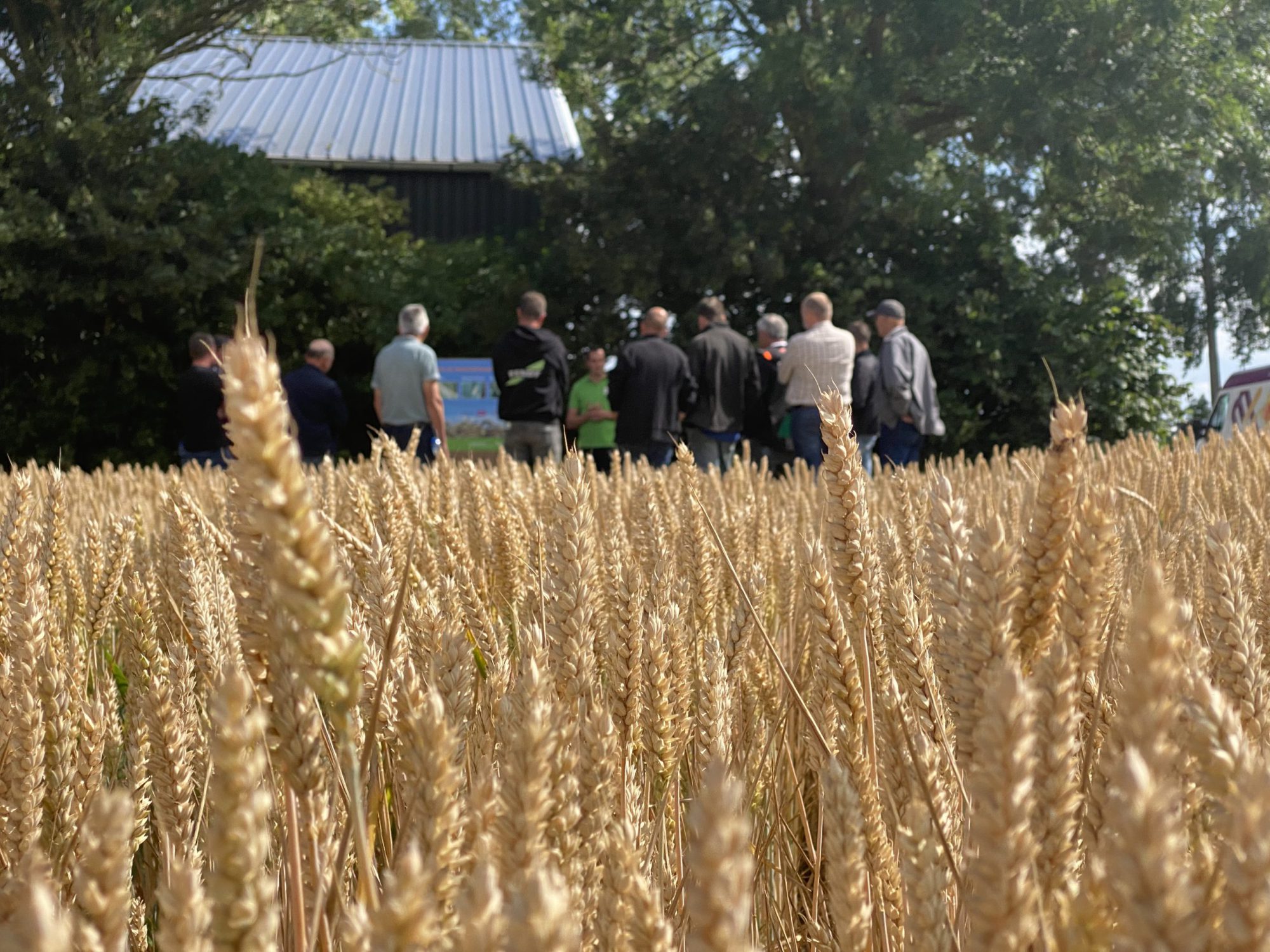 Afbeelding Terugblik Proef de dag in de regio 2023