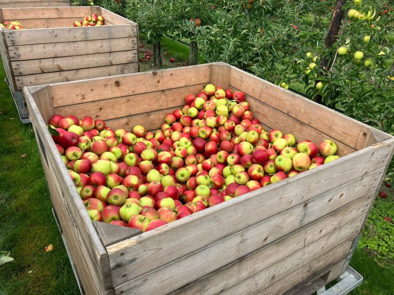 Afbeelding Fruitteelt vakbeurs