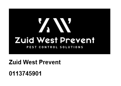 Afbeelding Overlast van plaagdieren? Zo pakt u het aan