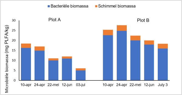 Afbeelding Weer heeft veel effect op bodemleven