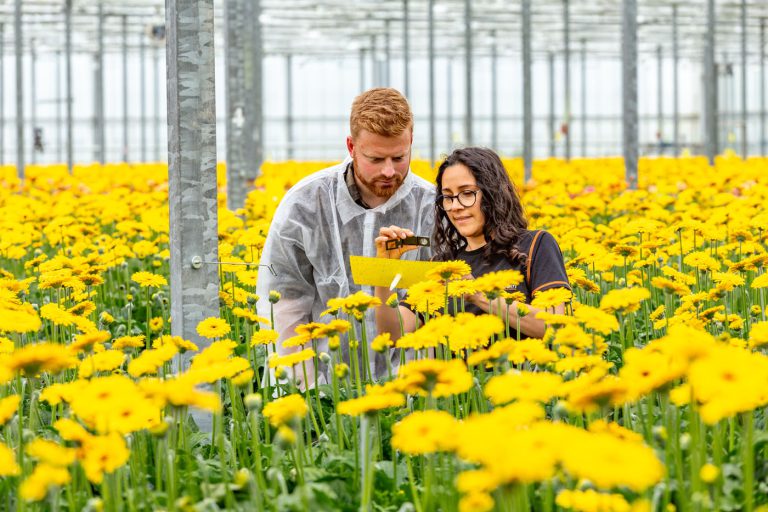 Afbeelding Uitdagingen van nu vragen meer strategie