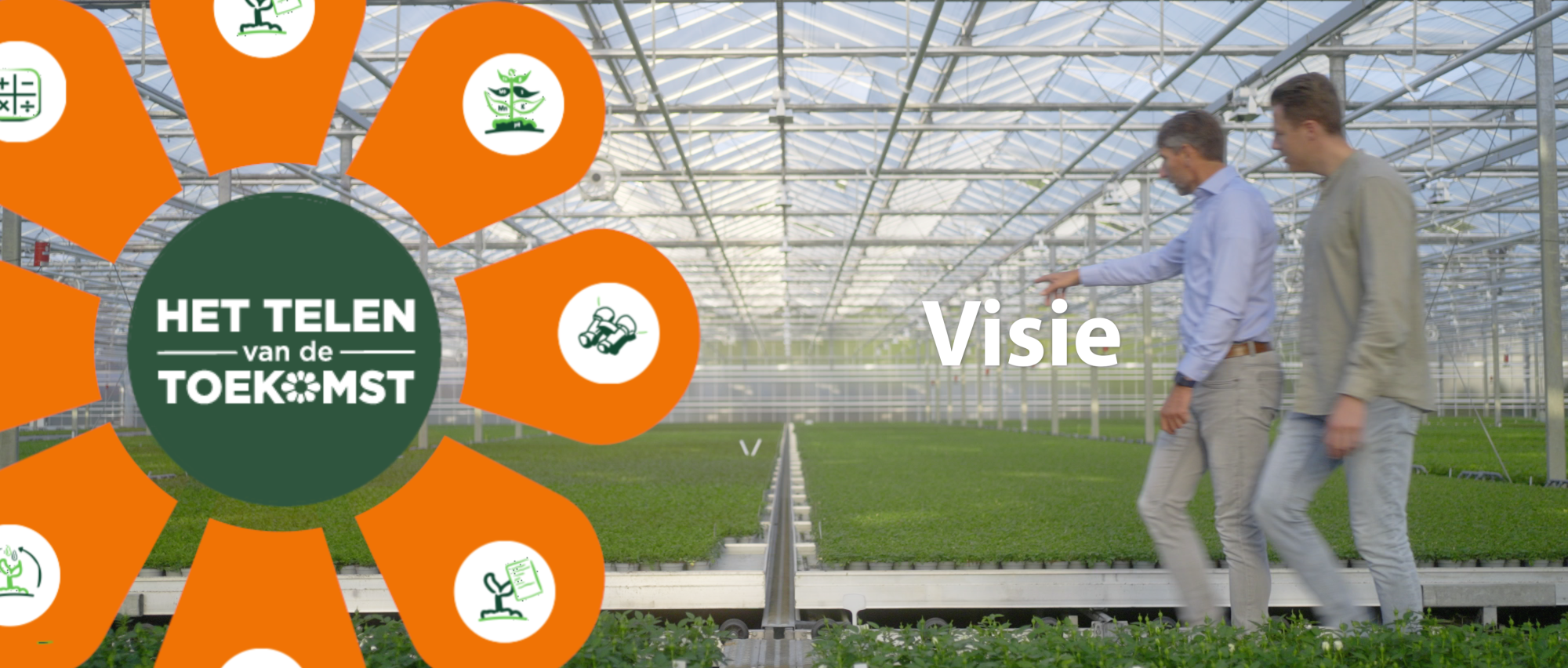 Afbeelding De vitale plant – Visie