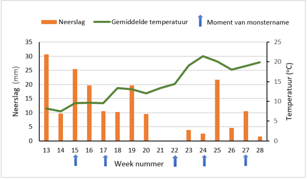 Afbeelding Weer heeft veel effect op bodemleven