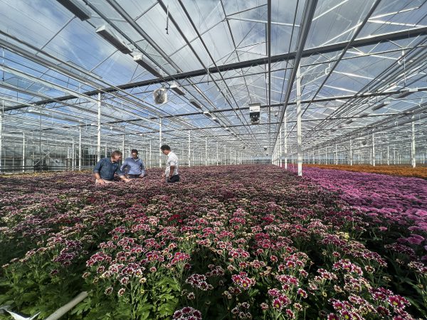 Afbeelding Ketensamenwerking met Royal van Zanten & Van Iperen