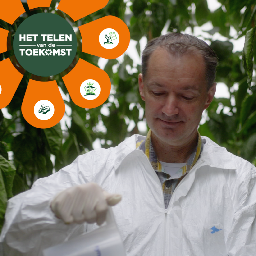 Afbeelding De vitale plant – Praktijkgericht onderzoek