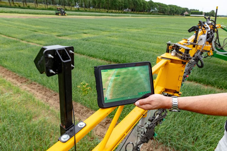 Afbeelding Spotspray in strijd tegen onkruid in plantuien