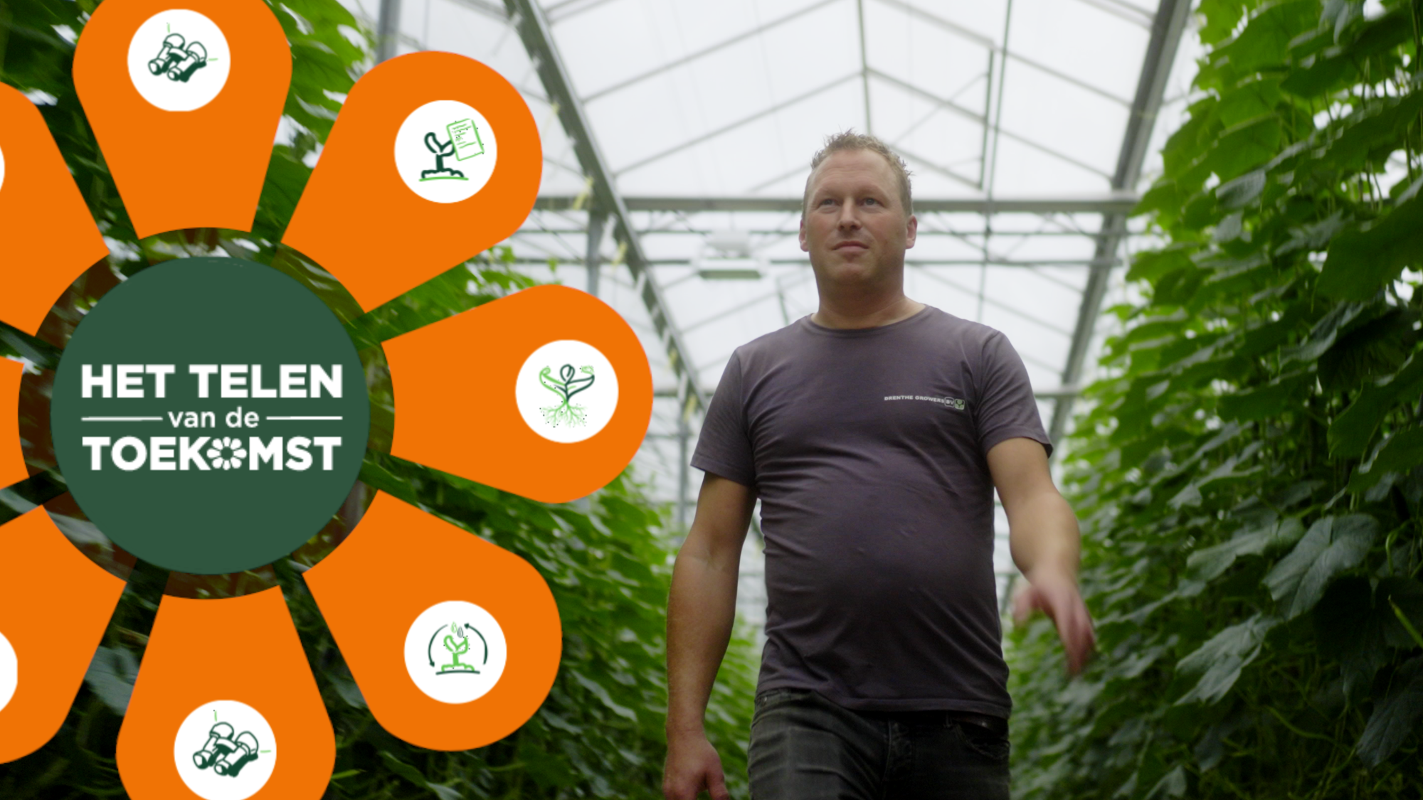 Afbeelding De vitale plant – Biostimulanten in de praktijk