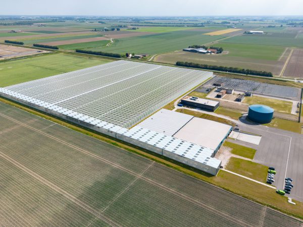 Afbeelding Voorsprong door testen