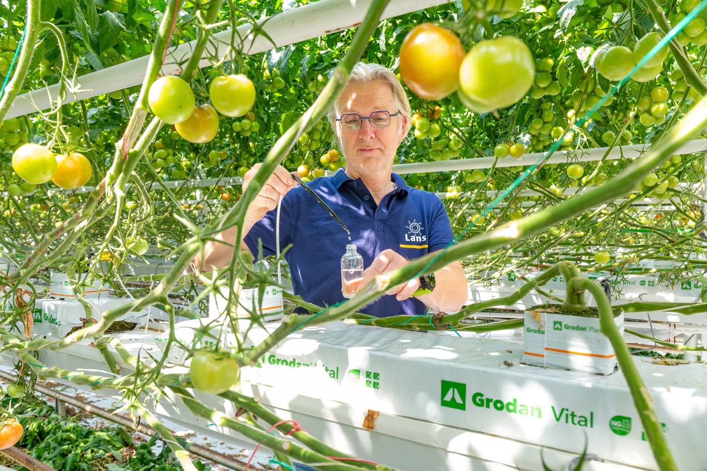 Afbeelding Voorsprong door testen