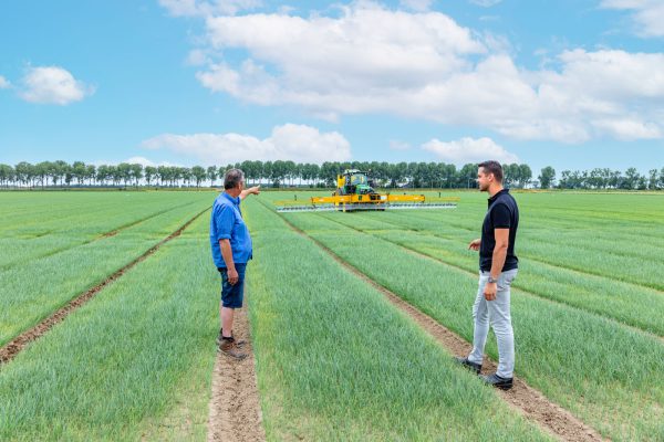 Afbeelding Spotspray in strijd tegen onkruid in plantuien