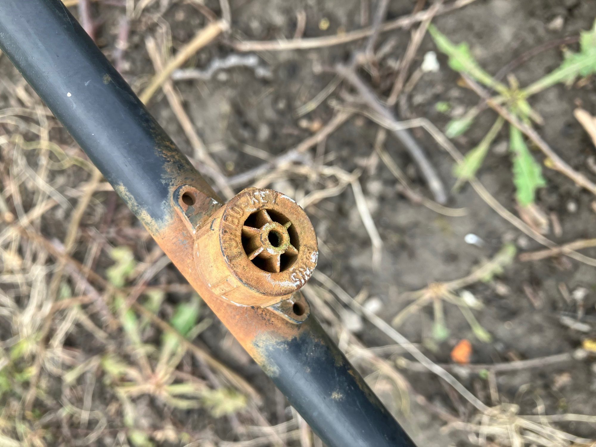 Afbeelding Reiniging fertigatiesysteem fruitteelt