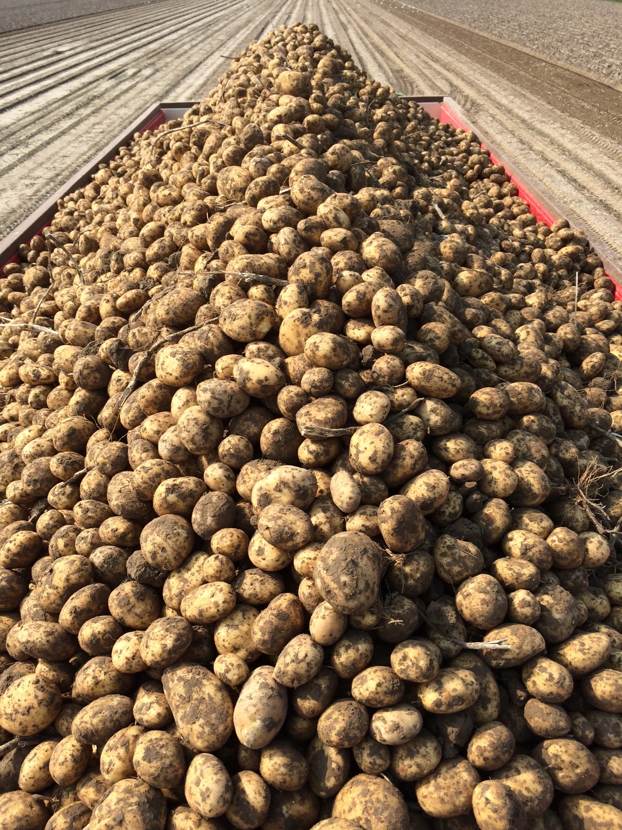 Afbeelding Nieuw: Mijn Bewaring