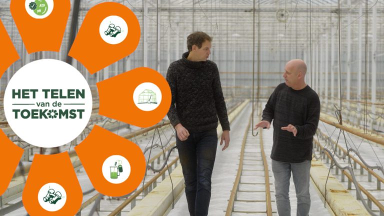 Afbeelding Hygiëne in en ná de teeltwisseling