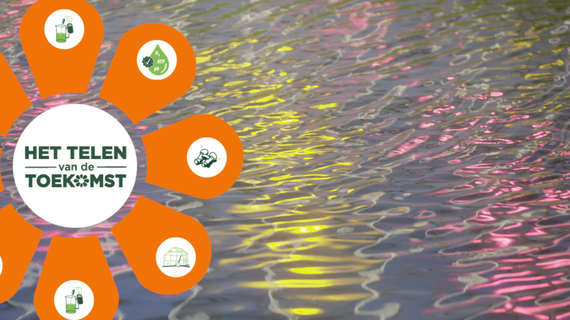 Afbeelding Waterkwaliteit & hygiëne – Visie