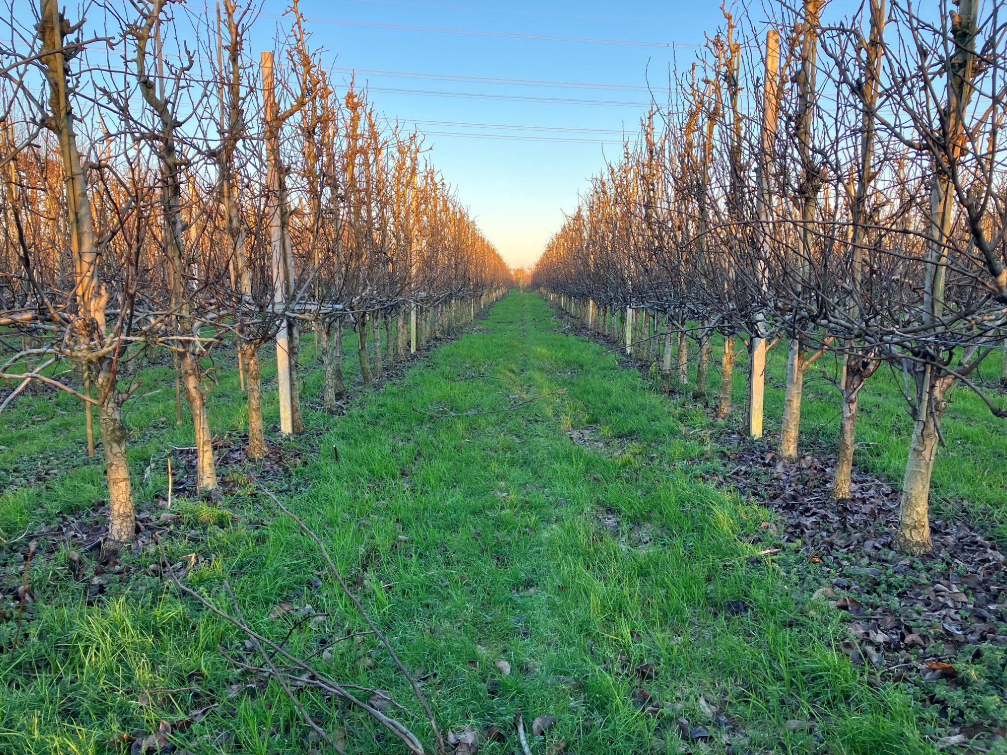 Afbeelding Werkzaamheden vorstperiode
