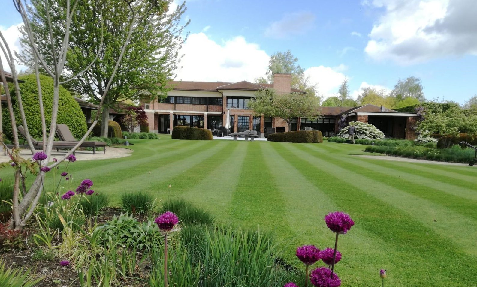 Afbeelding Jaar van het gazon