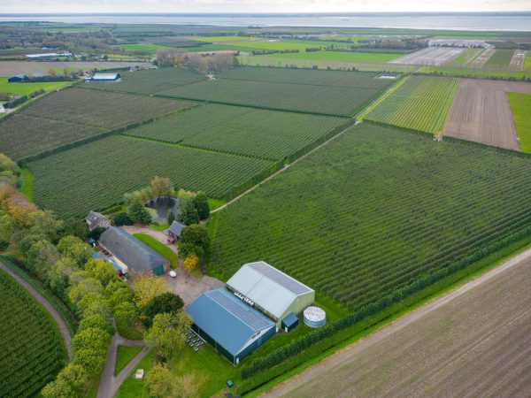 Afbeelding Fruitteler stapt over van zwarte bes op peer