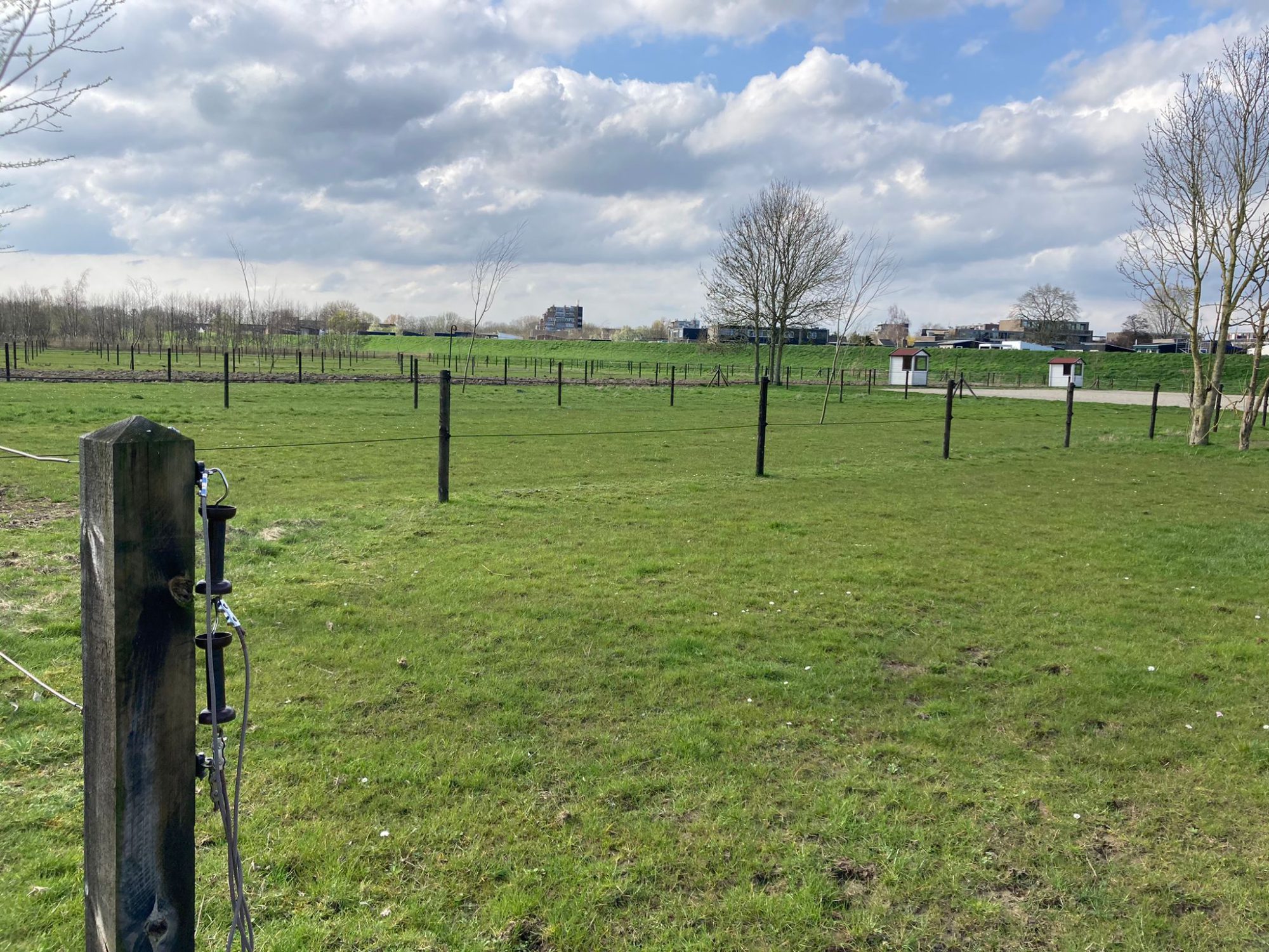 Afbeelding Tips voor de paardenwei