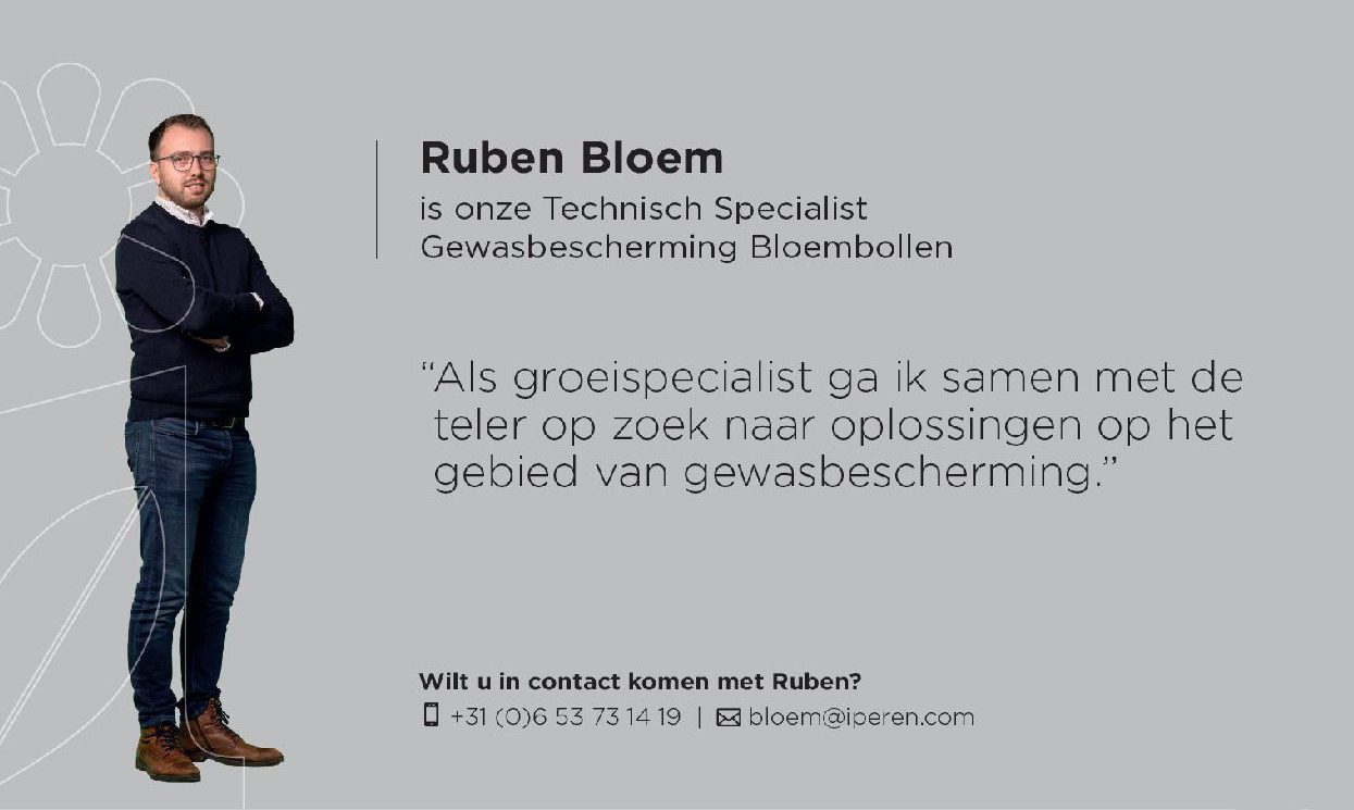 Afbeelding Alles op alles voor de lelie