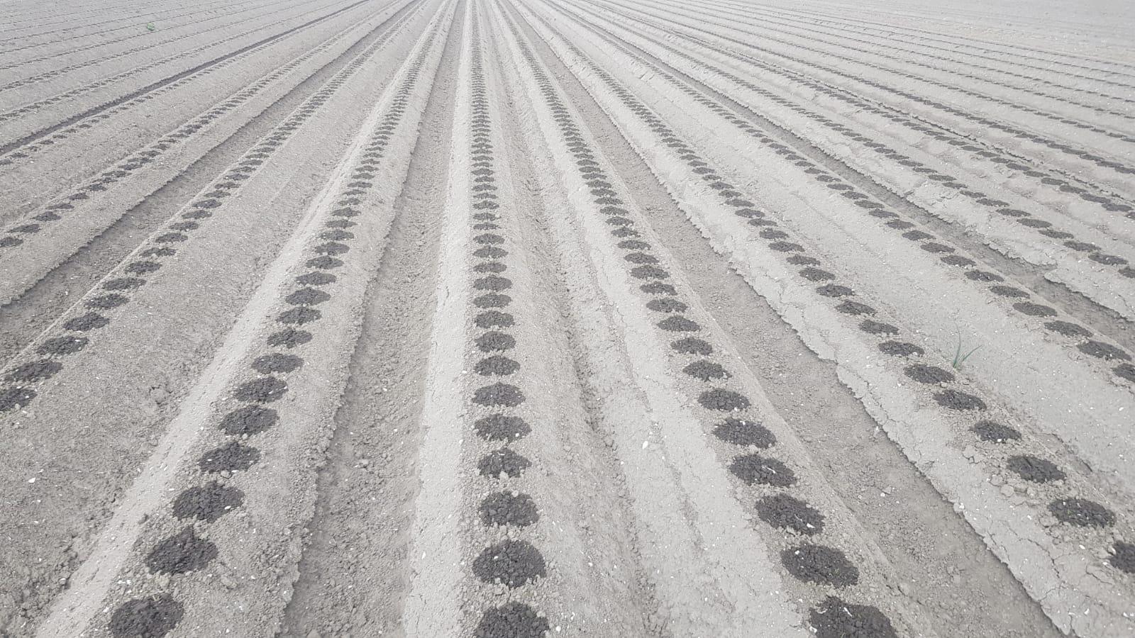 Afbeelding Fertigatiebijeenkomst | in de regio