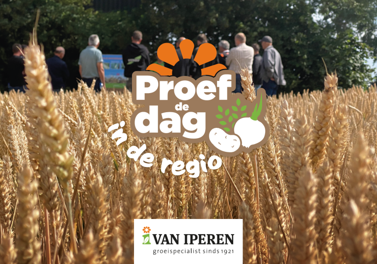 Afbeelding Proef de dag in de regio Hoeksche Waard