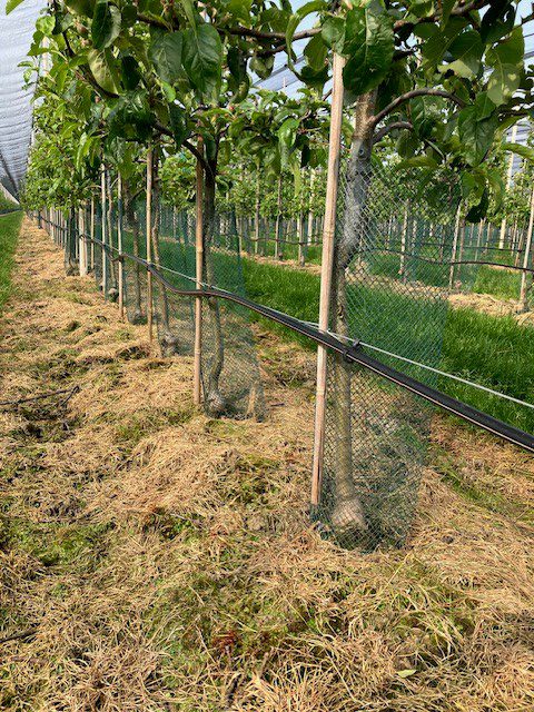 Afbeelding Fertigatie opstarten