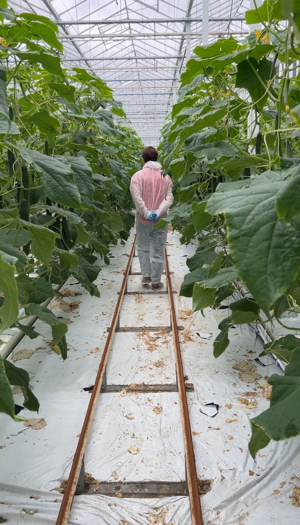 Afbeelding Een dag op pad met Floor Oomen