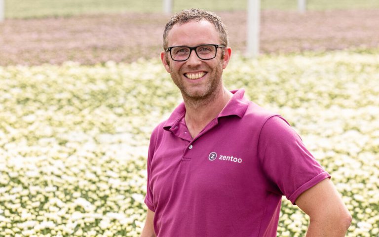 Afbeelding Chrysantenkwekerij zet nieuwe stap in biologische luisbestrijding