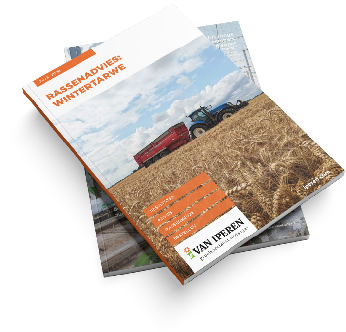 Afbeelding Rassenadviesfolder wintertarwe