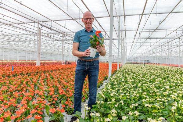 Afbeelding “Je moet je vijand goed kennen”