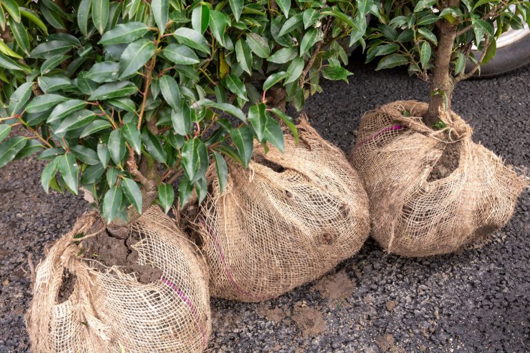 Afbeelding Hoveniersbijeenkomst | 10 oktober 2024