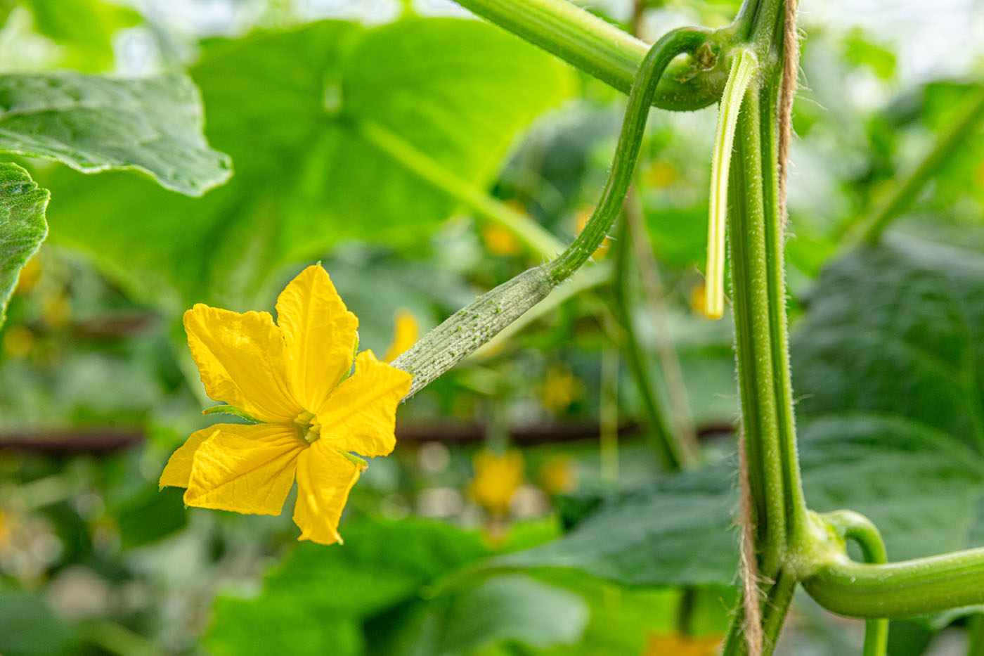 Afbeelding Spuitlicentiebijeenkomsten Noordoost-Nederland