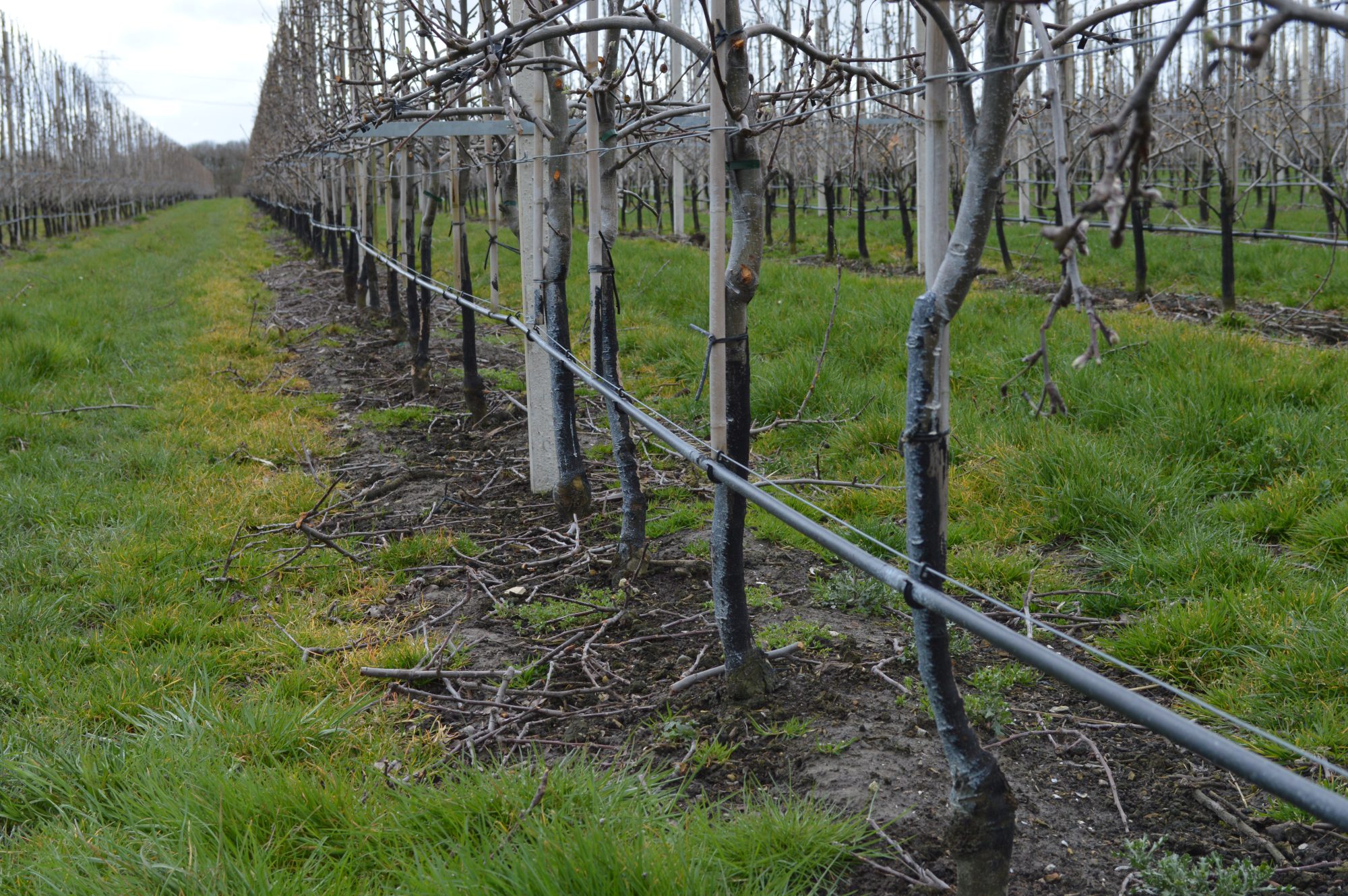 Afbeelding Kwaliteitsverbetering