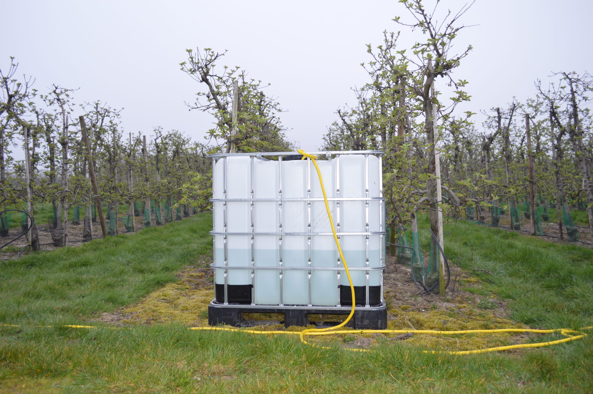 Afbeelding Waterkwaliteit