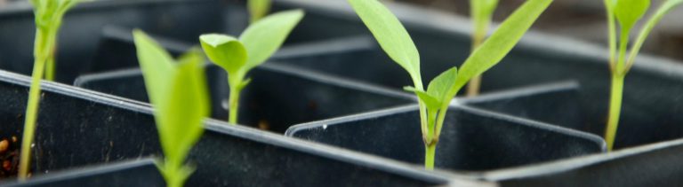 Afbeelding Arjan van Belle: “Na vakantiewerk nooit meer weggegaan”