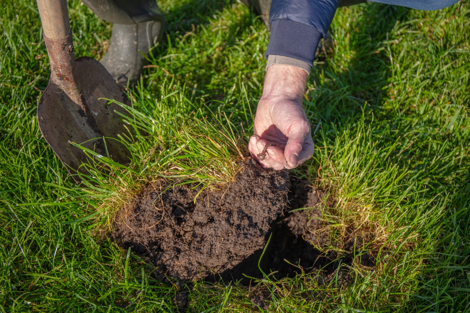 Afbeelding Bodemvitaliteit