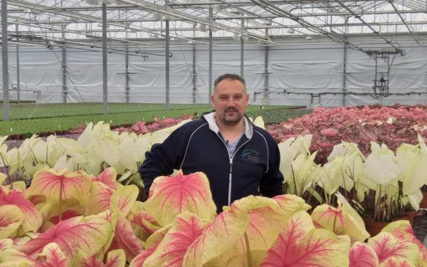 Afbeelding Een goede teelt begint met schoon water