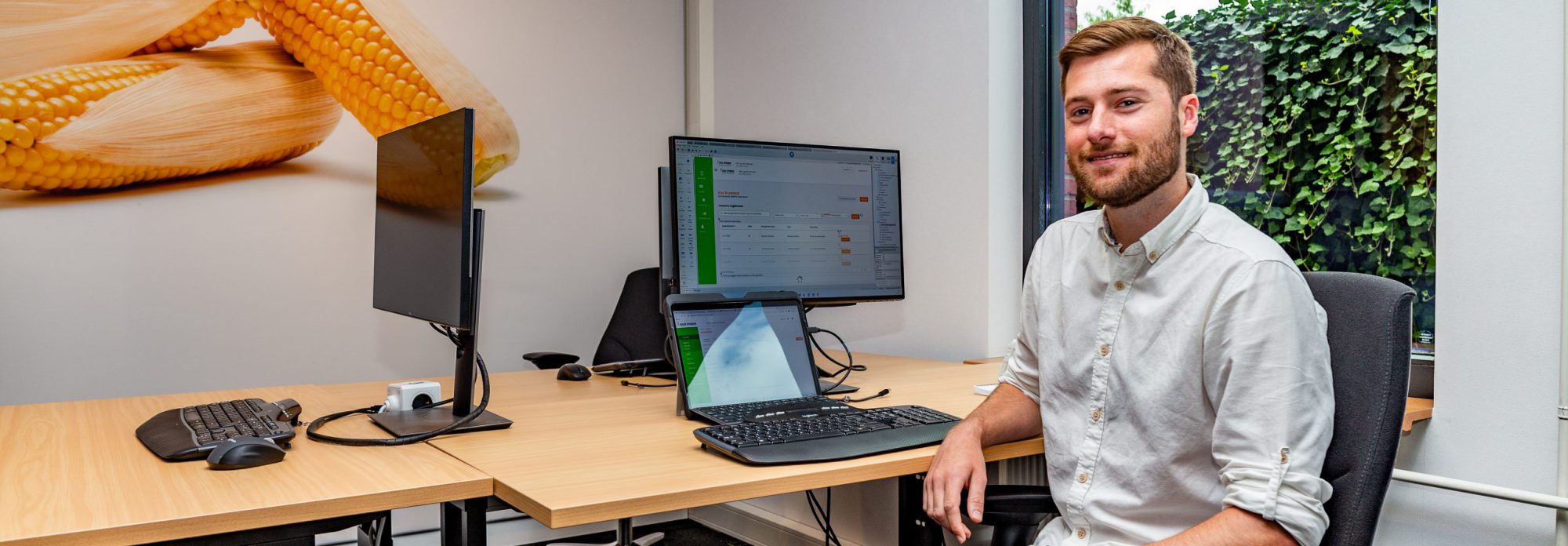 Afbeelding Outsystems Software Developer