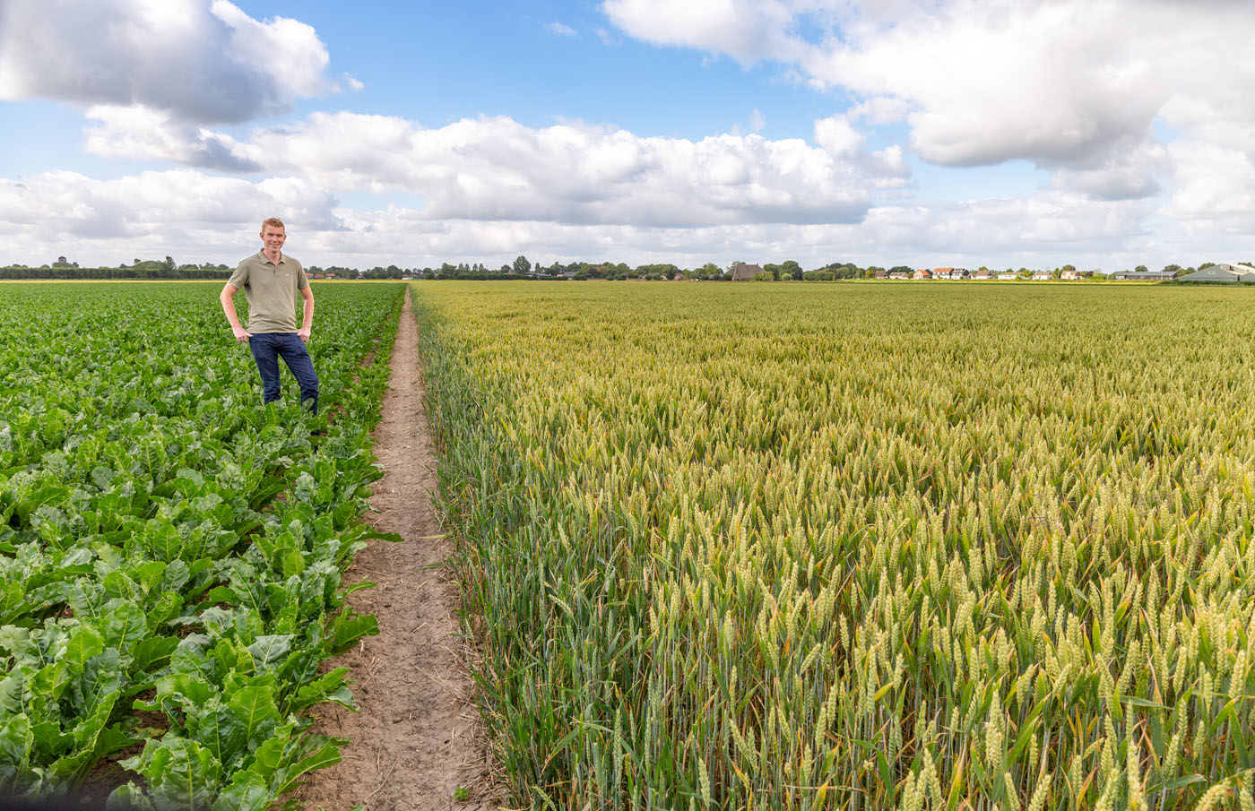 Afbeelding Specialist Precisielandbouw