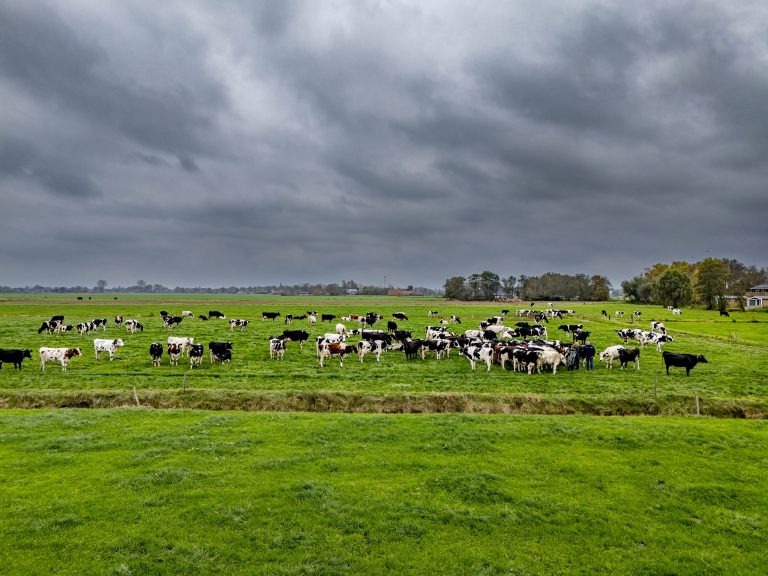 Afbeelding Vernieuwde website Van Iperen online